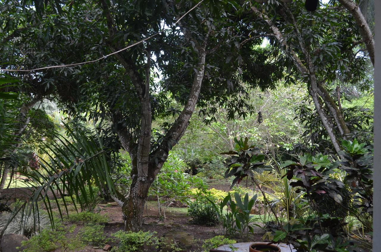 Amanwana Ecofinca Hotel Melgar Exterior foto