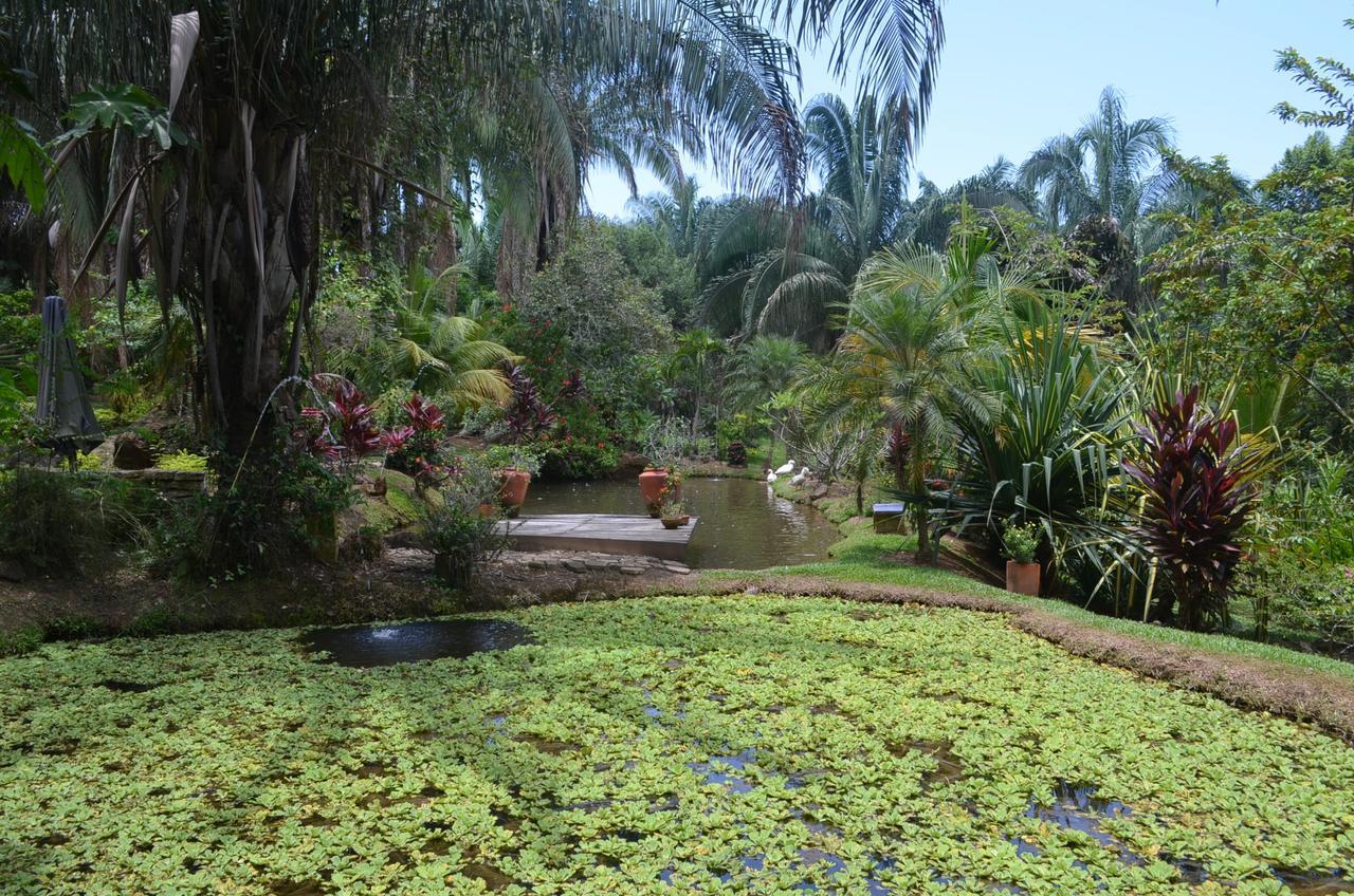 Amanwana Ecofinca Hotel Melgar Exterior foto