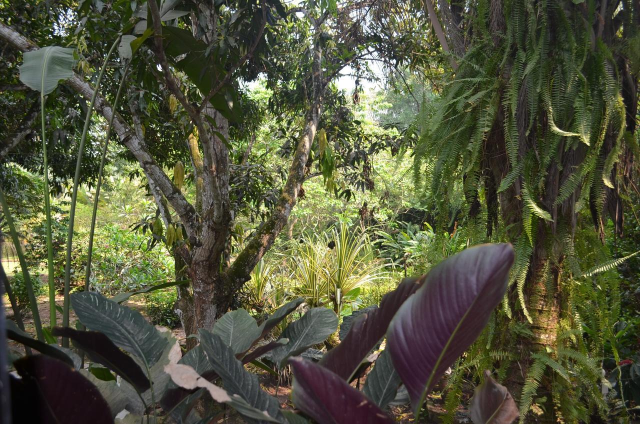 Amanwana Ecofinca Hotel Melgar Exterior foto