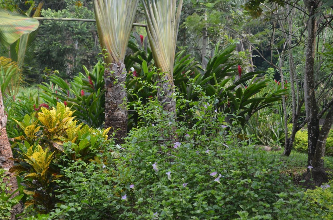 Amanwana Ecofinca Hotel Melgar Exterior foto