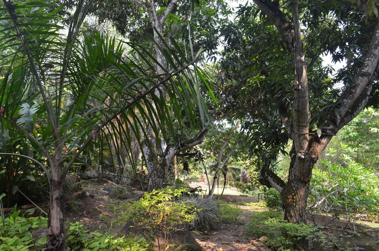 Amanwana Ecofinca Hotel Melgar Exterior foto