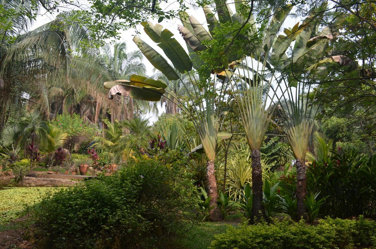 Amanwana Ecofinca Hotel Melgar Exterior foto