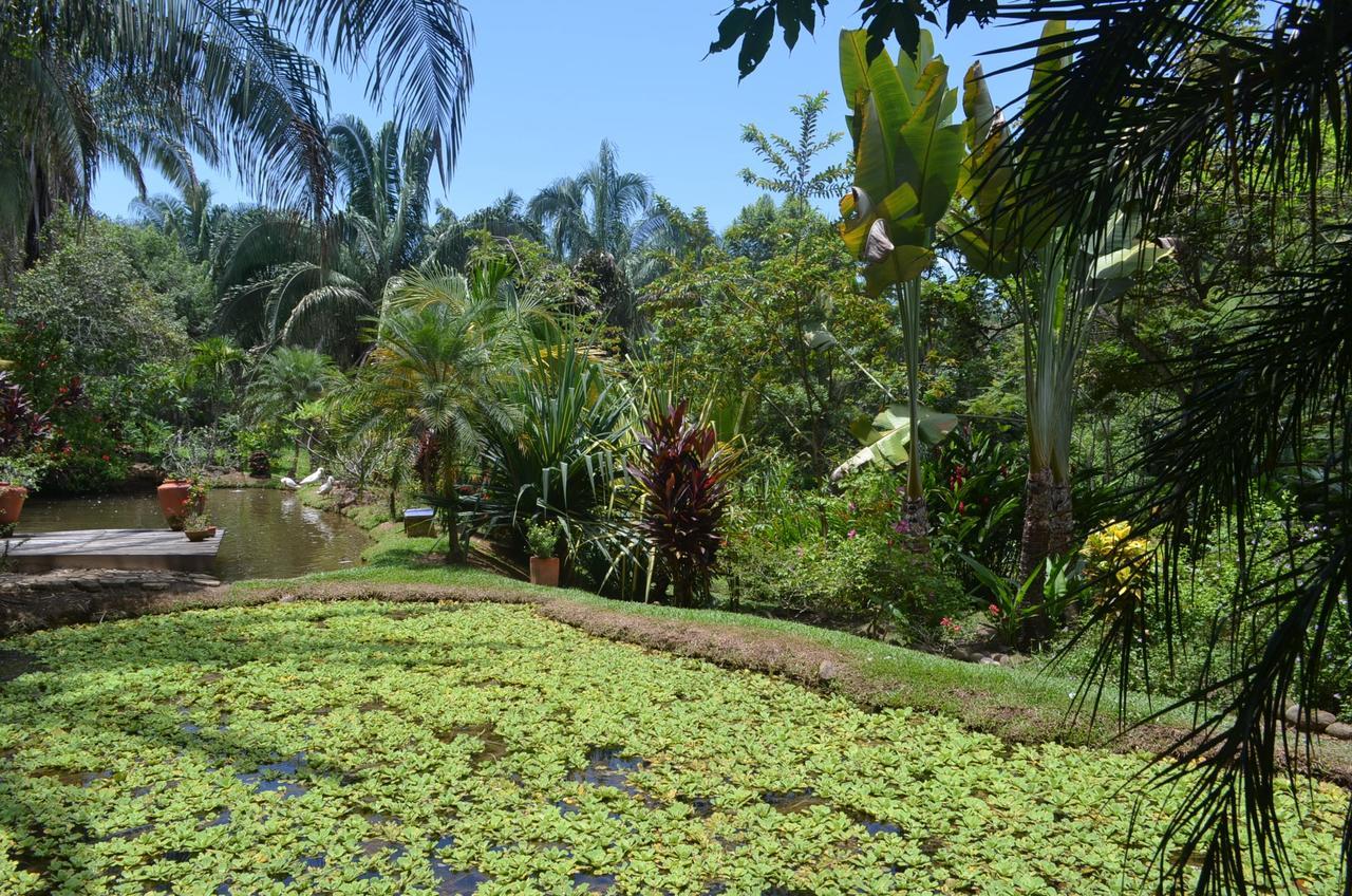 Amanwana Ecofinca Hotel Melgar Exterior foto