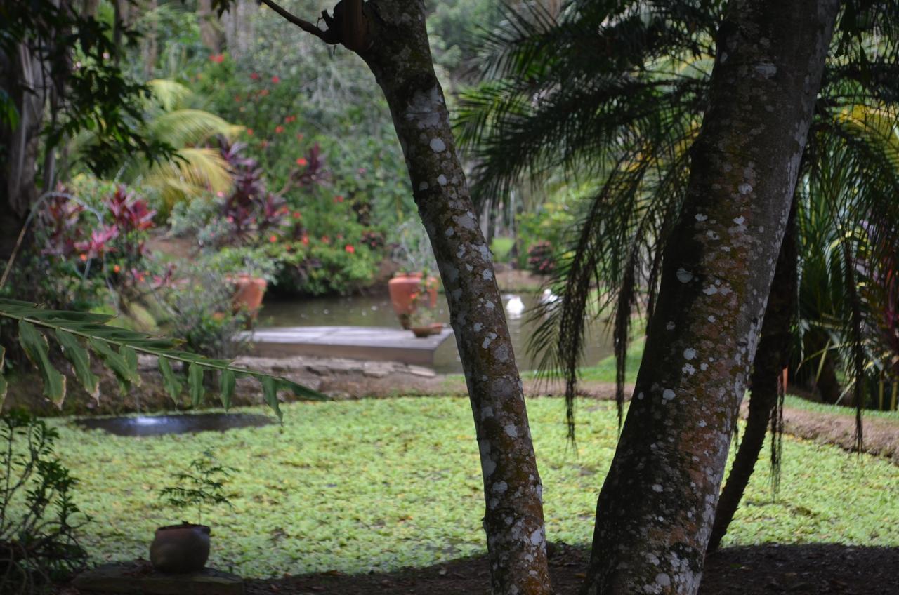 Amanwana Ecofinca Hotel Melgar Exterior foto