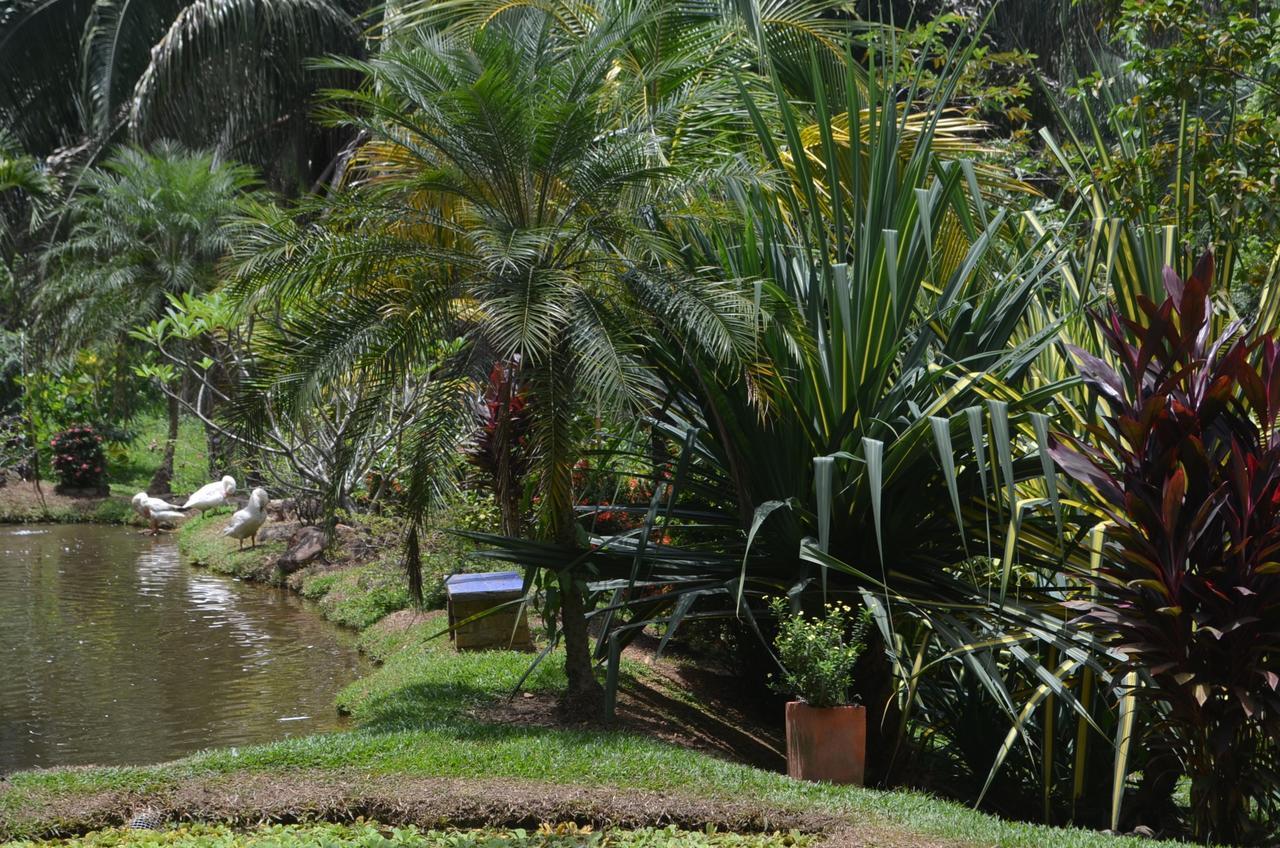 Amanwana Ecofinca Hotel Melgar Exterior foto