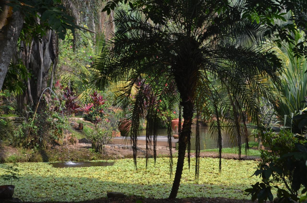 Amanwana Ecofinca Hotel Melgar Exterior foto