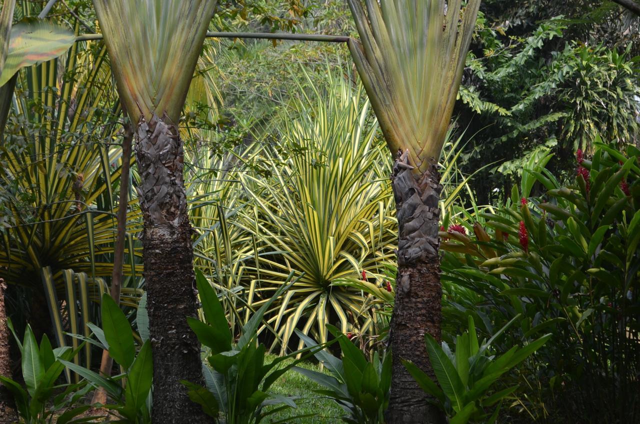 Amanwana Ecofinca Hotel Melgar Exterior foto