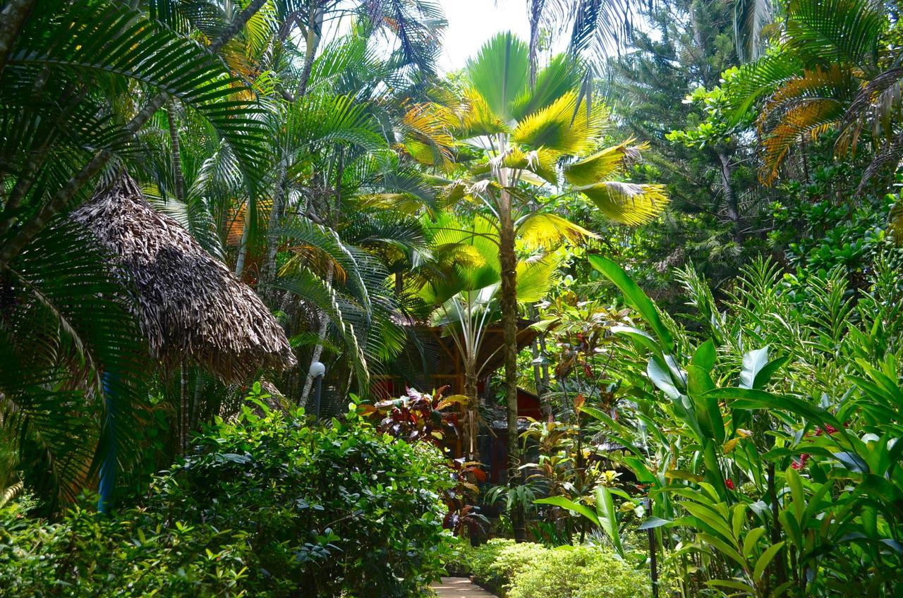 Amanwana Ecofinca Hotel Melgar Exterior foto