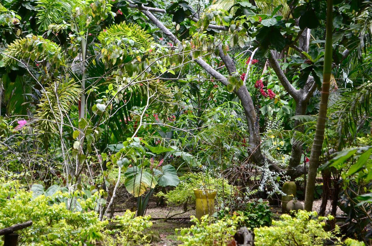 Amanwana Ecofinca Hotel Melgar Exterior foto